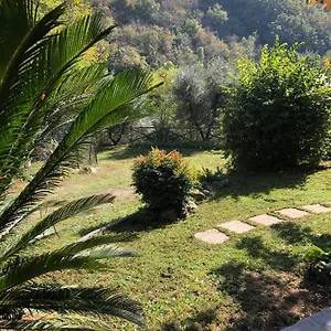 Villa Costanza, Larciano